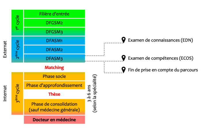 Devenir : Médecin légiste quelle formation, quelles études pour faire ce  métier ?