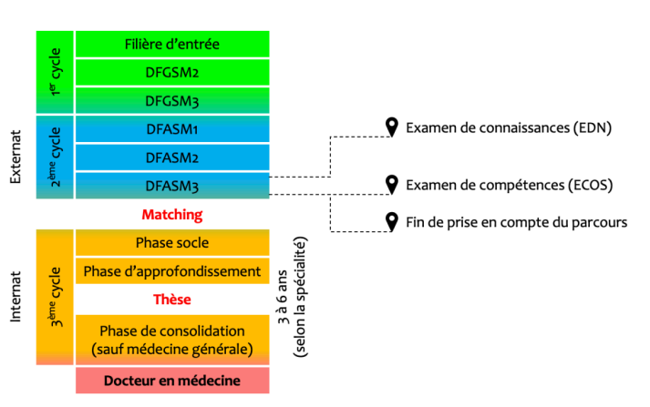 Exercices M decine 1Er Cycle Enseignements Et Examens SSMSR Exercices M decine 1Er Cycle Enseignements Et Examens SSMSR